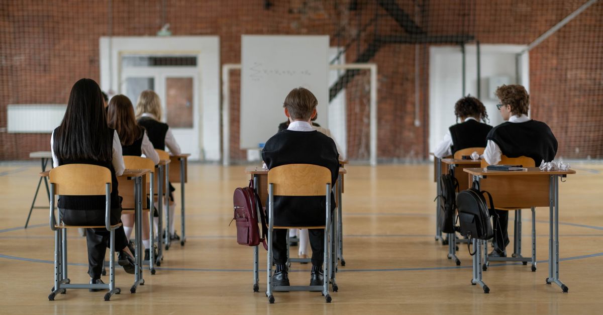 Back view of students seated in a classroom environment, focusing on studies.